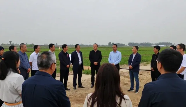农业技术培训在项目咨询中的发展趋势与实践路径